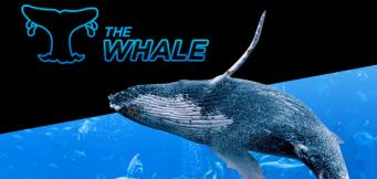 888poker the Whale